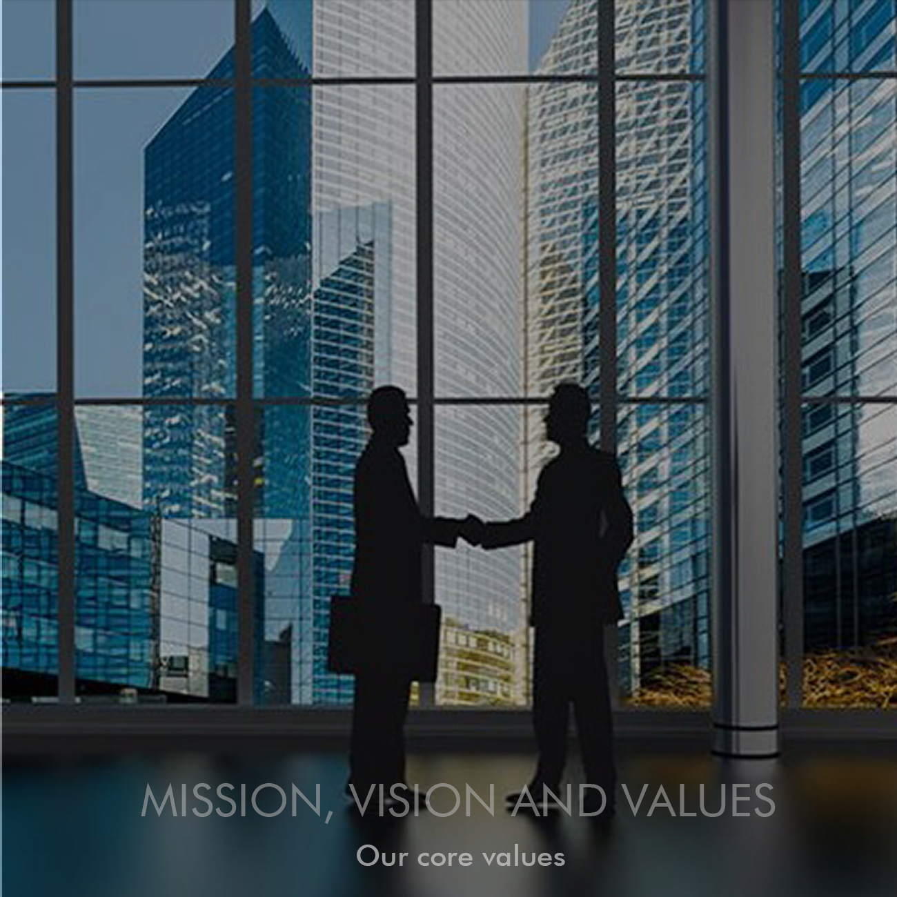 vision